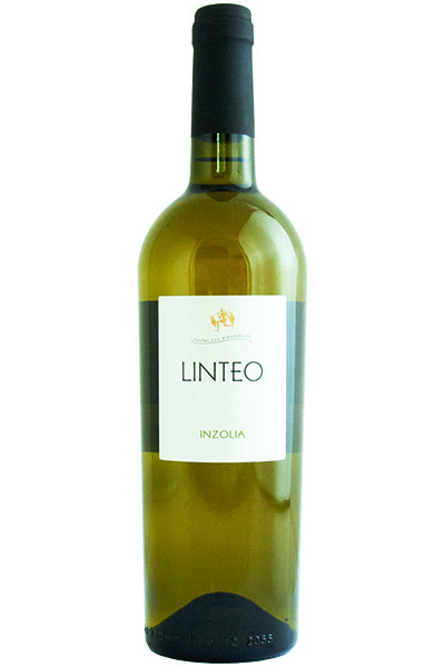 Inzolia, Linteo, Catina Minini, Sicily, Italy, 2022