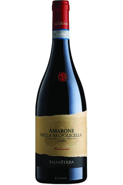 Amarone Tenuta Antica Vinaia SalvaTerra, Veneto, Italy 2017