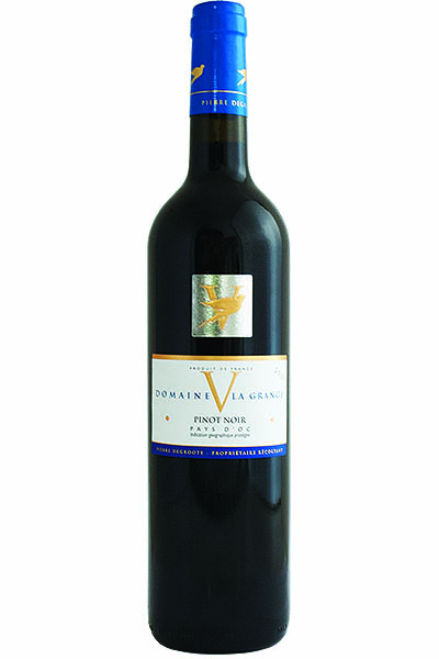 Pinot Noir IGP, Domaine V La Grange, Pays d'Oc, Narbonne, Languedoc, France, 2021