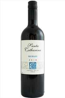 Merlot, Santa Catharina, Central Valley, Chile, 2023