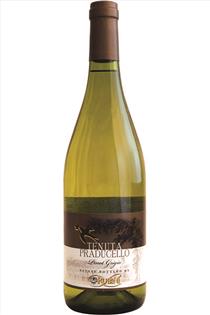 Pinot Grigio, Tenuta Praducello, Villa Rubini, Colli Orientali del Friuli DOC, Veneto Italy, 2023